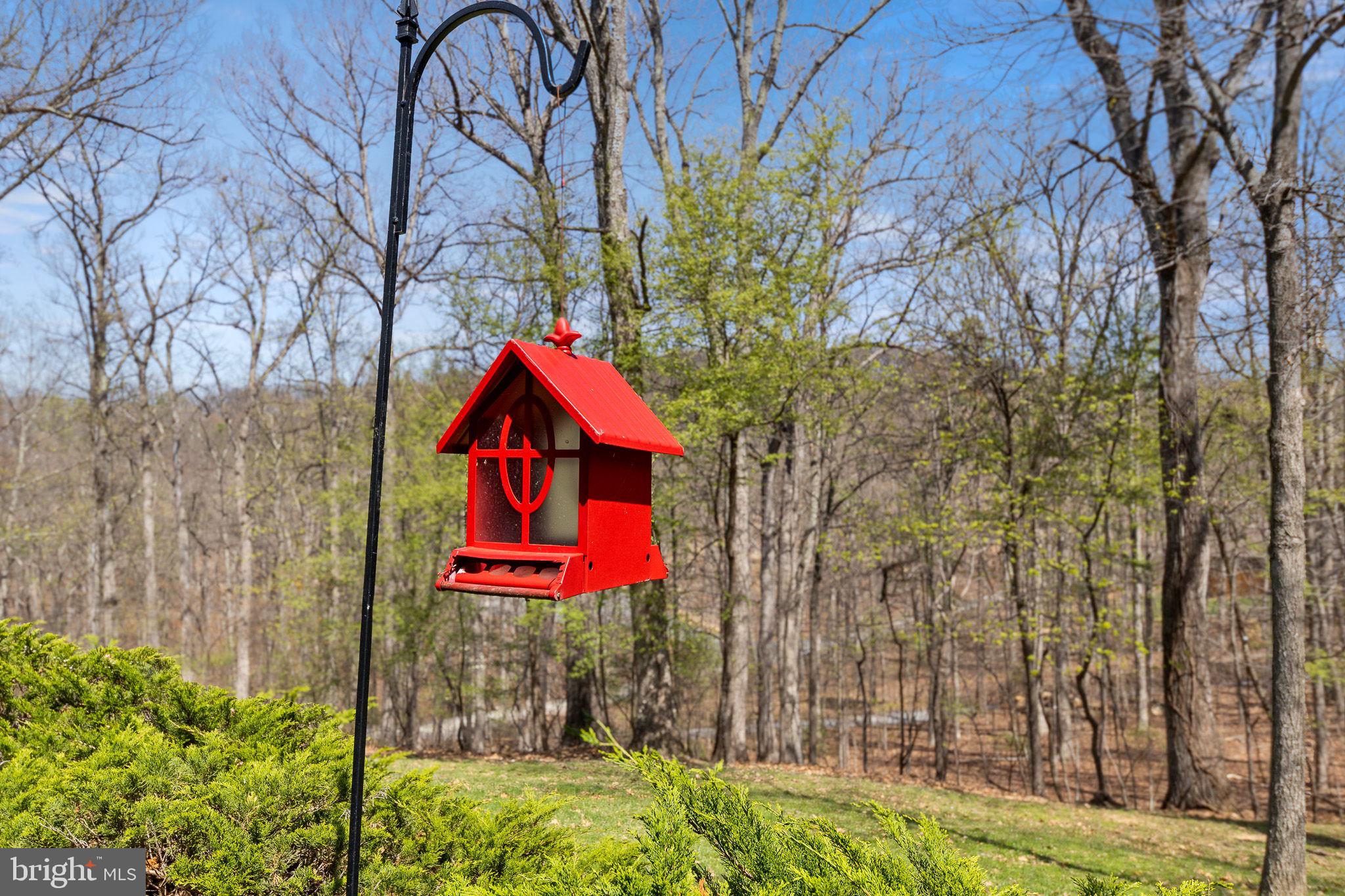 SHENANDOAH FARMS - Residential