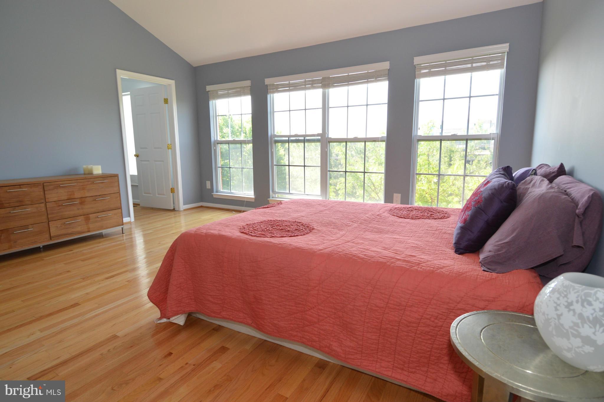 LINCOLN PARK - Residential