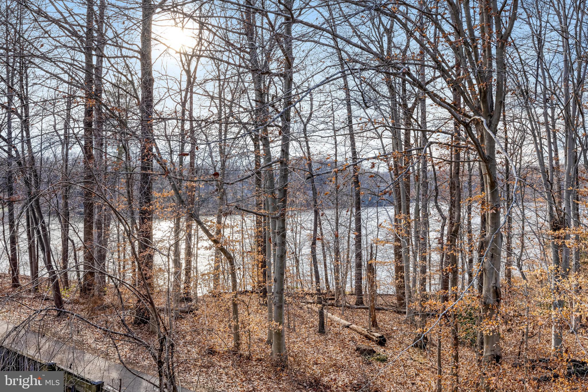 SOMERSET AT SOUTH RUN - Residential Lease