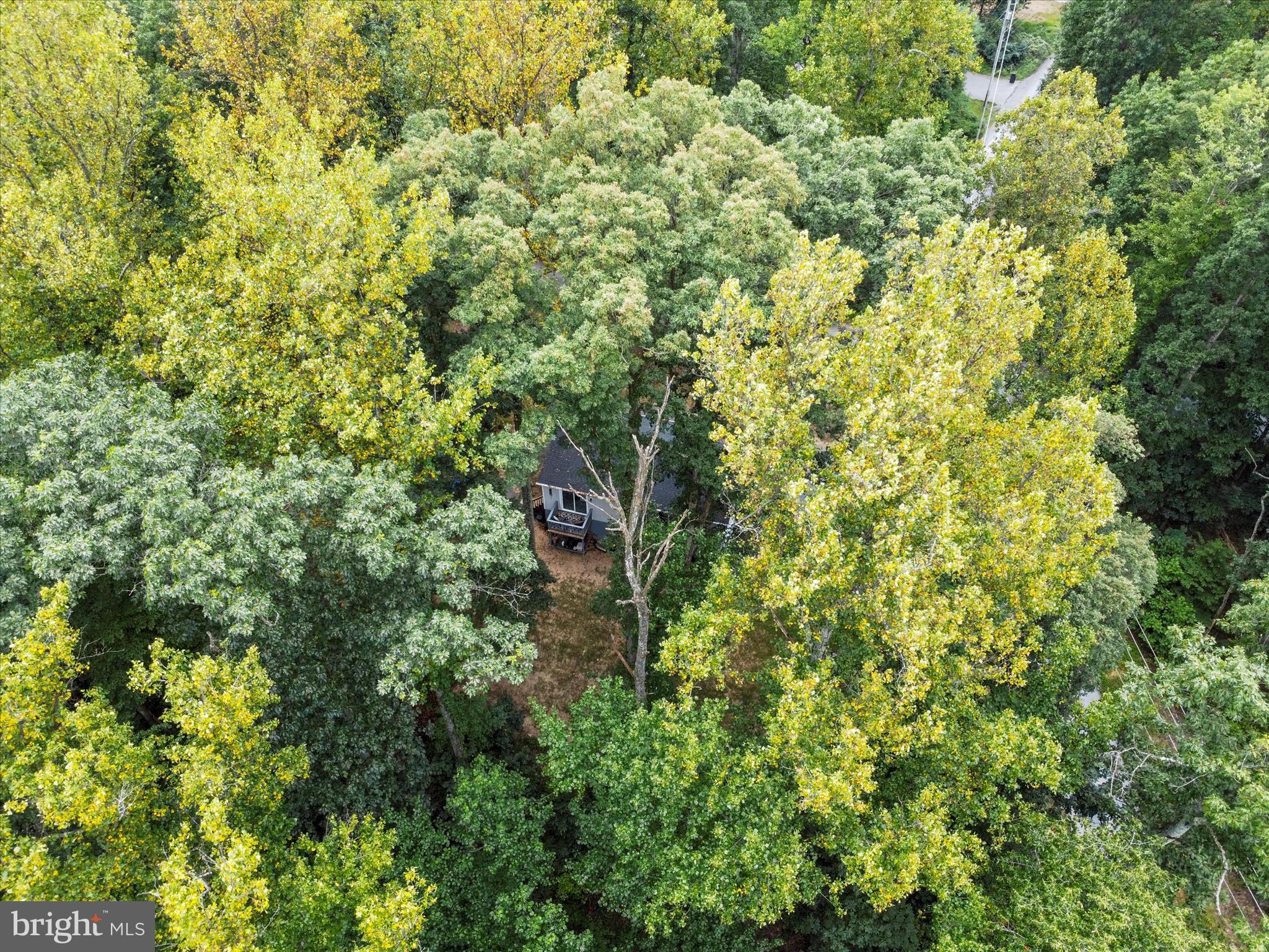 SHANNONDALE - Residential