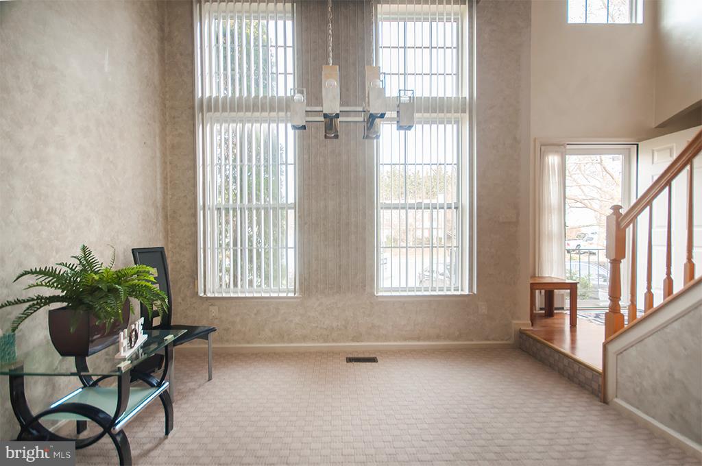 THE COOK - Residential