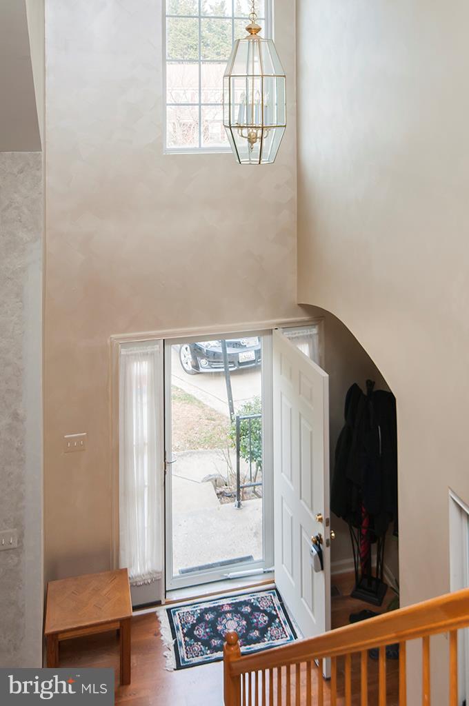 THE COOK - Residential