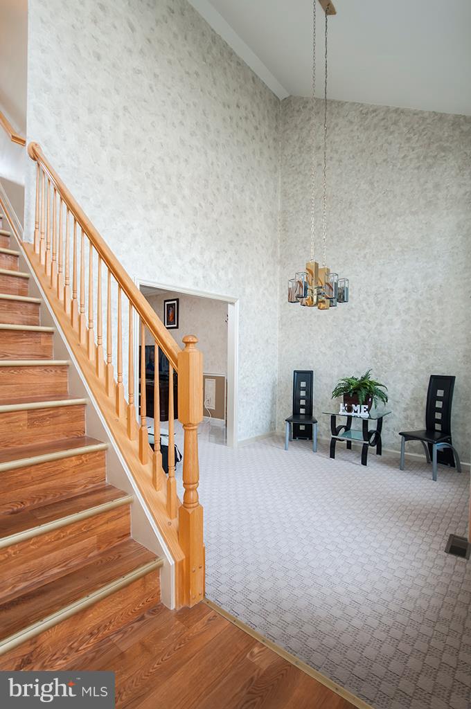 THE COOK - Residential