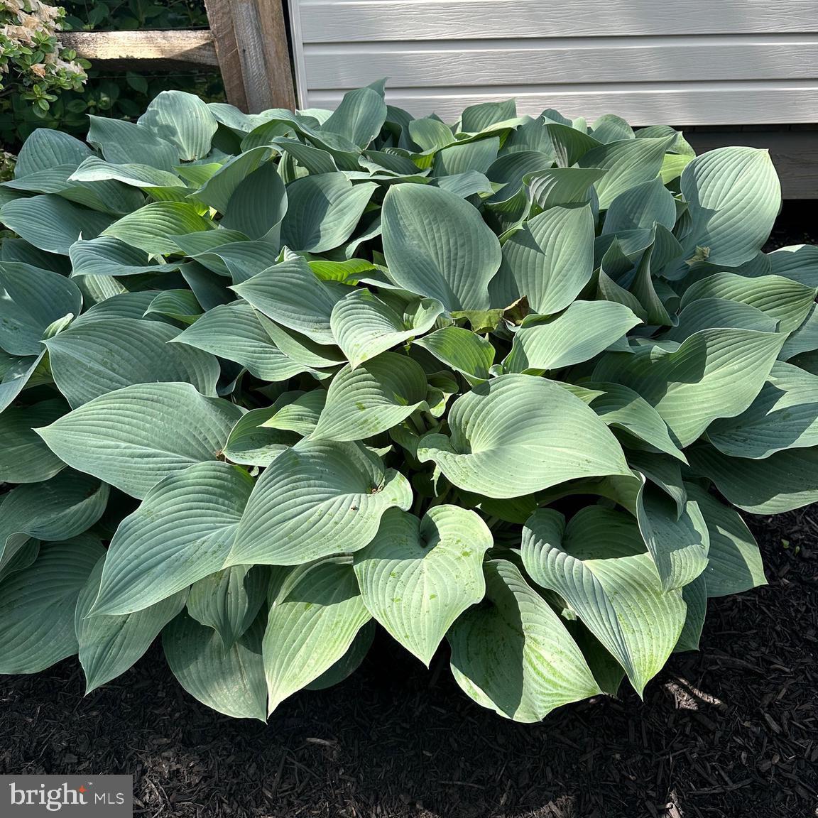 OWINGS MILLS - Residential