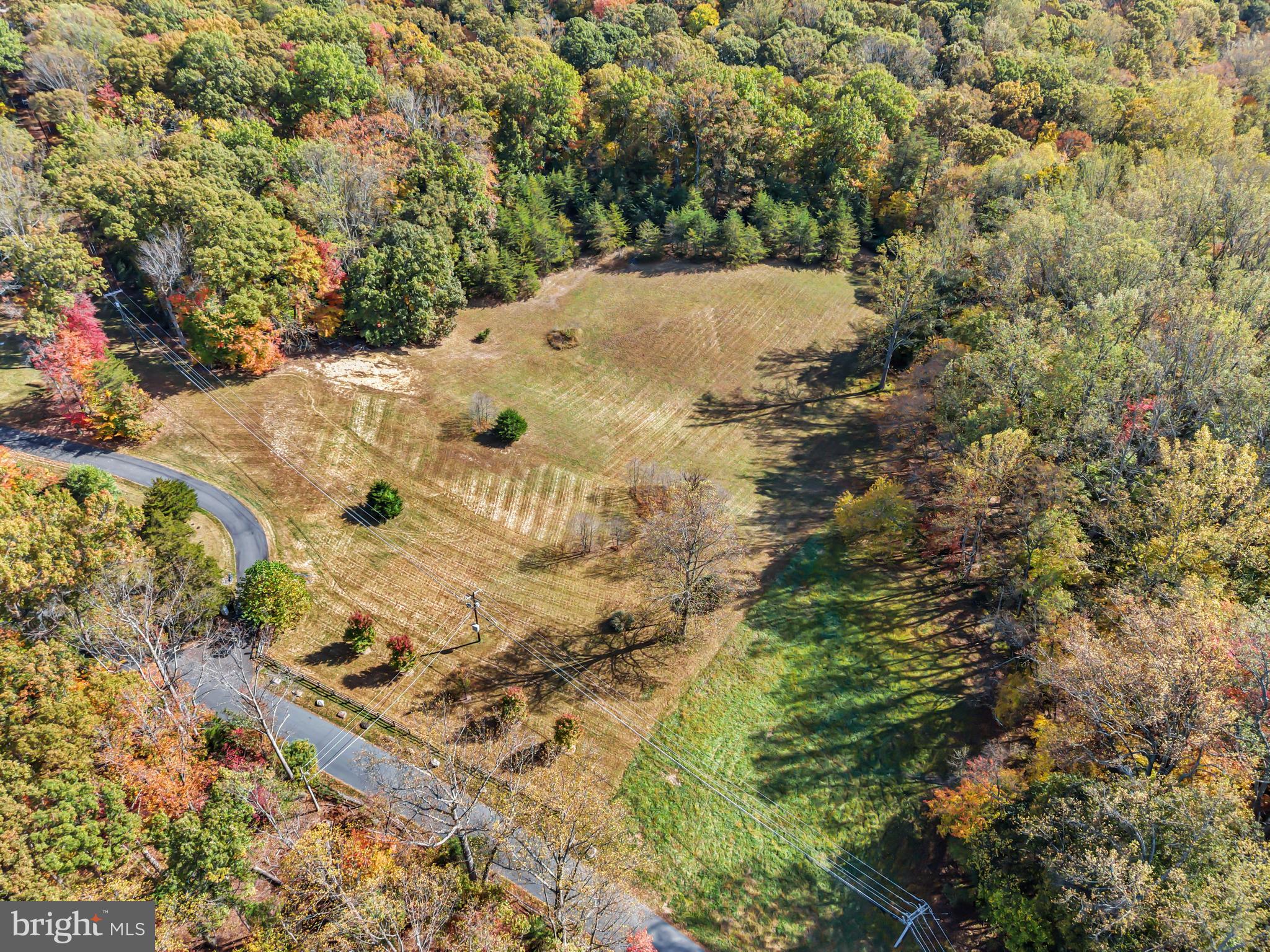 7800 GOLD FLINT COURT