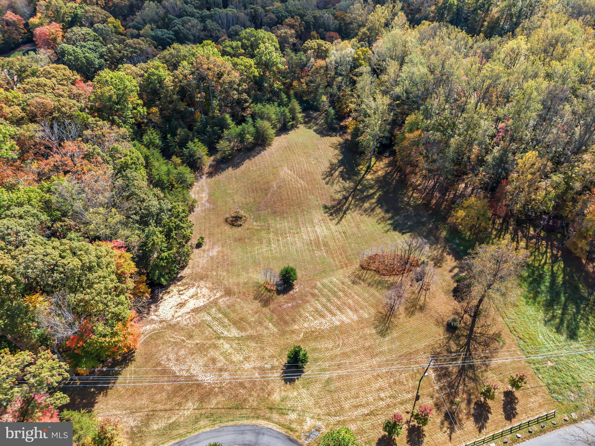 7800 GOLD FLINT COURT