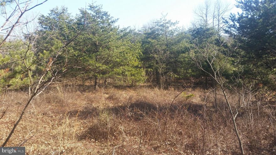 Beautiful Building Site, buy now while prices are low. Older field like setting has grown up for a few years but with a bit of clearing the Nice westerly views will be yours. Nice level building area for this private setting with easy access.