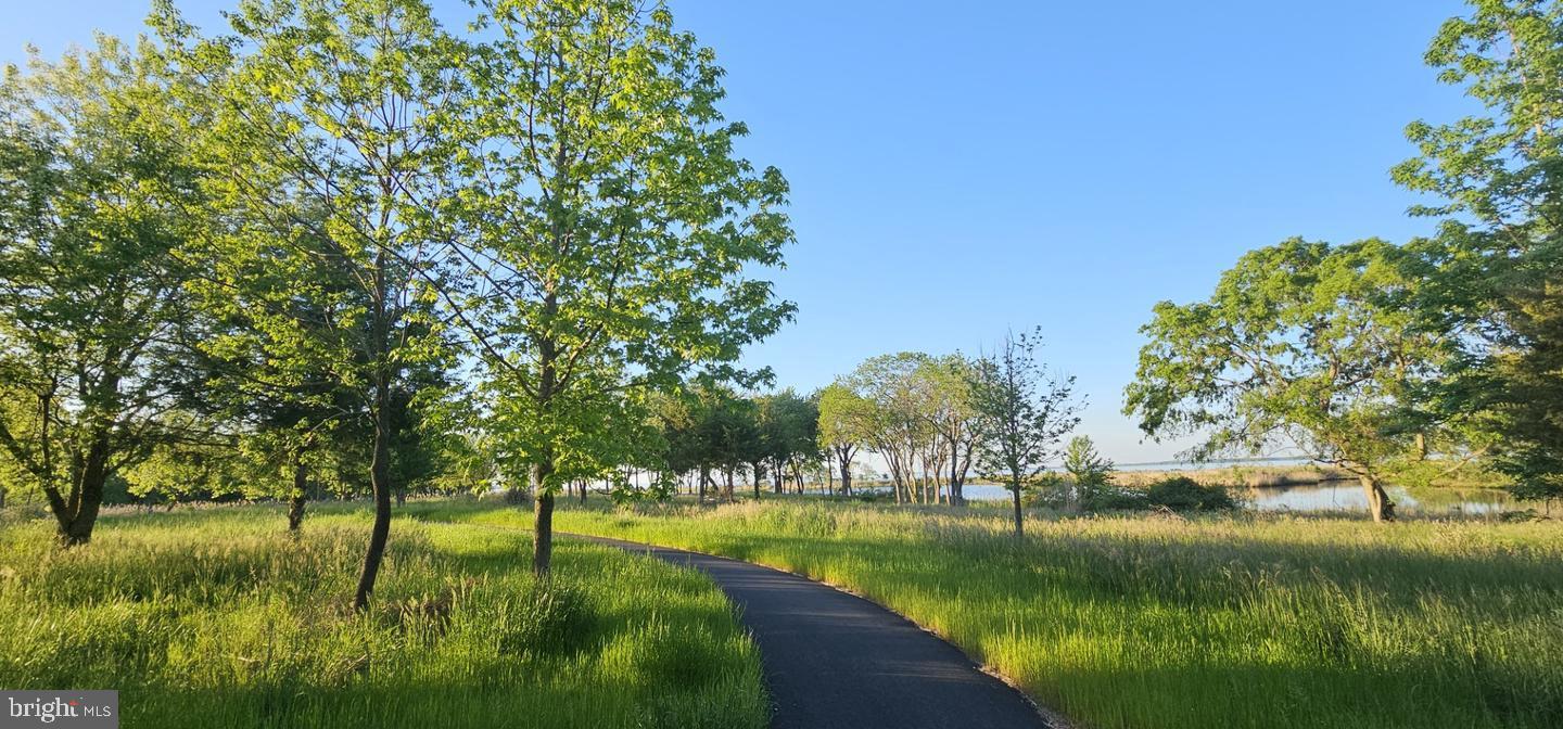 FOUR SEASONS AT KENT ISLAND - Residential