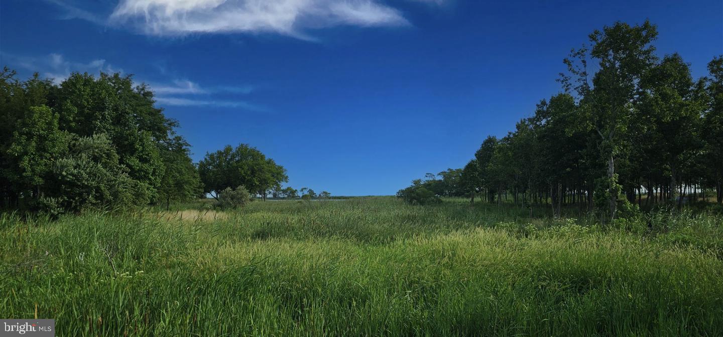 FOUR SEASONS AT KENT ISLAND - Residential