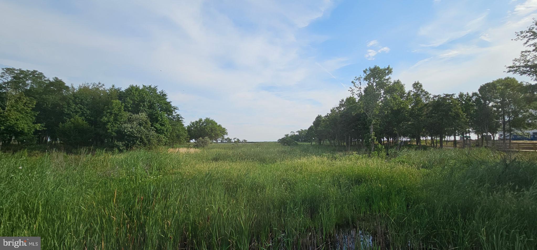 FOUR SEASONS AT KENT ISLAND - Residential