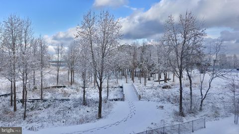 230 SWITCHGRASS WAY 21 CHESTER MD 21619