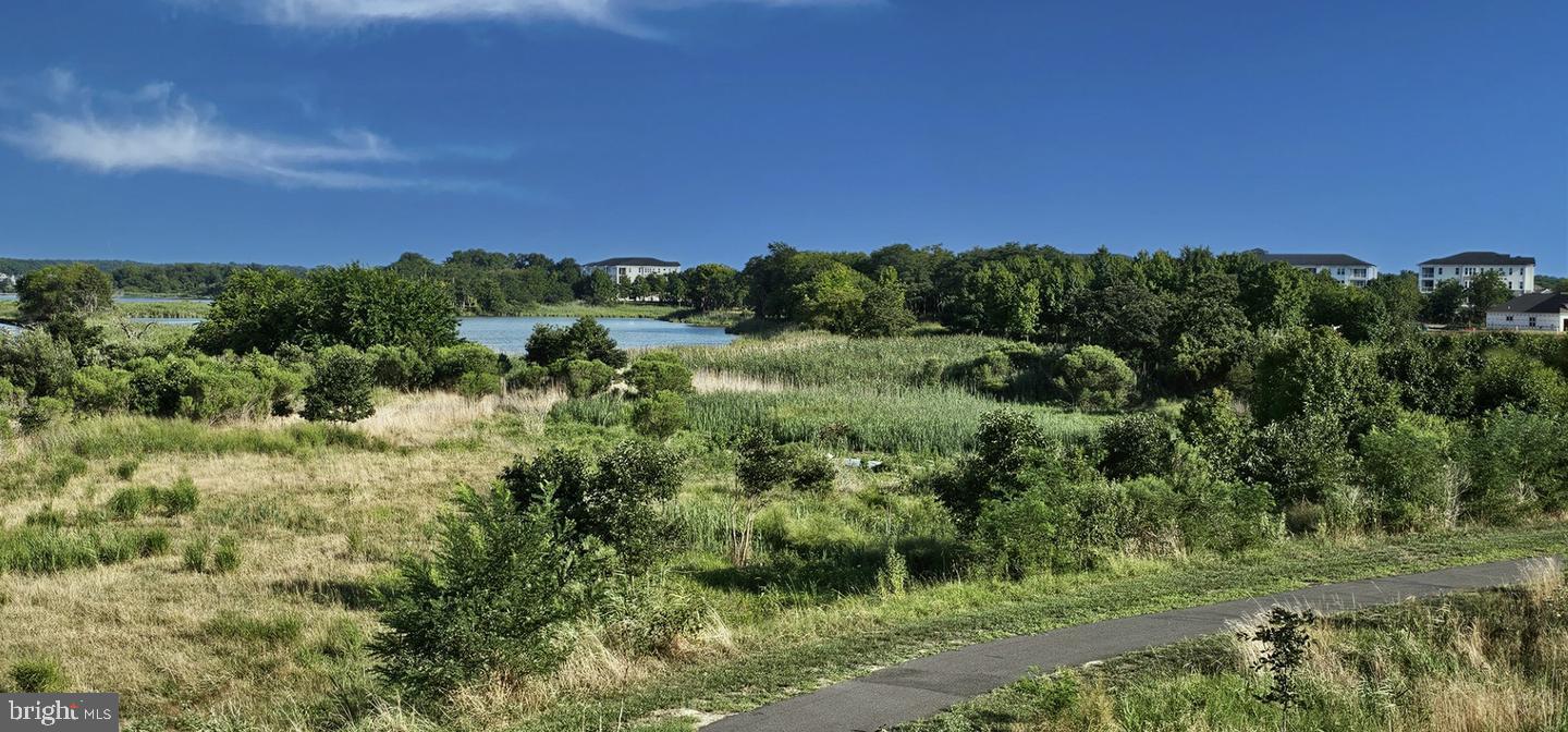 FOUR SEASONS AT KENT ISLAND - Residential