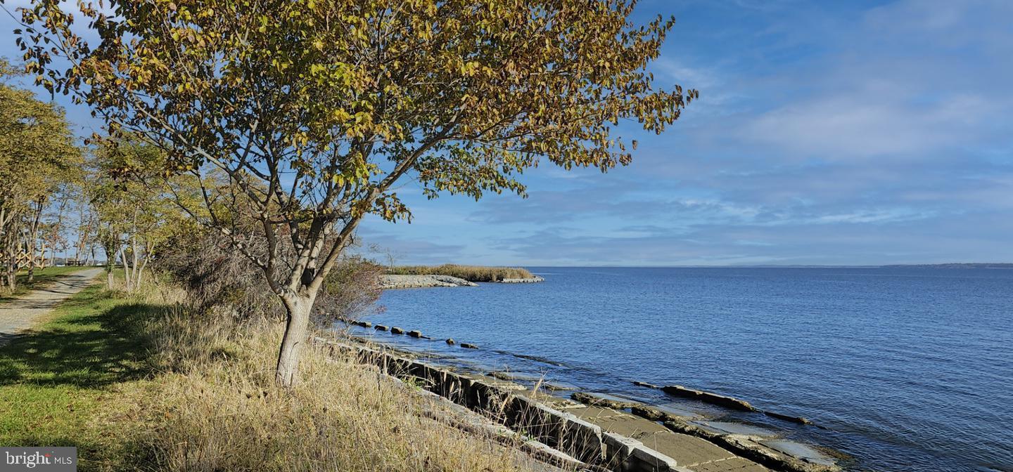 FOUR SEASONS AT KENT ISLAND - Residential