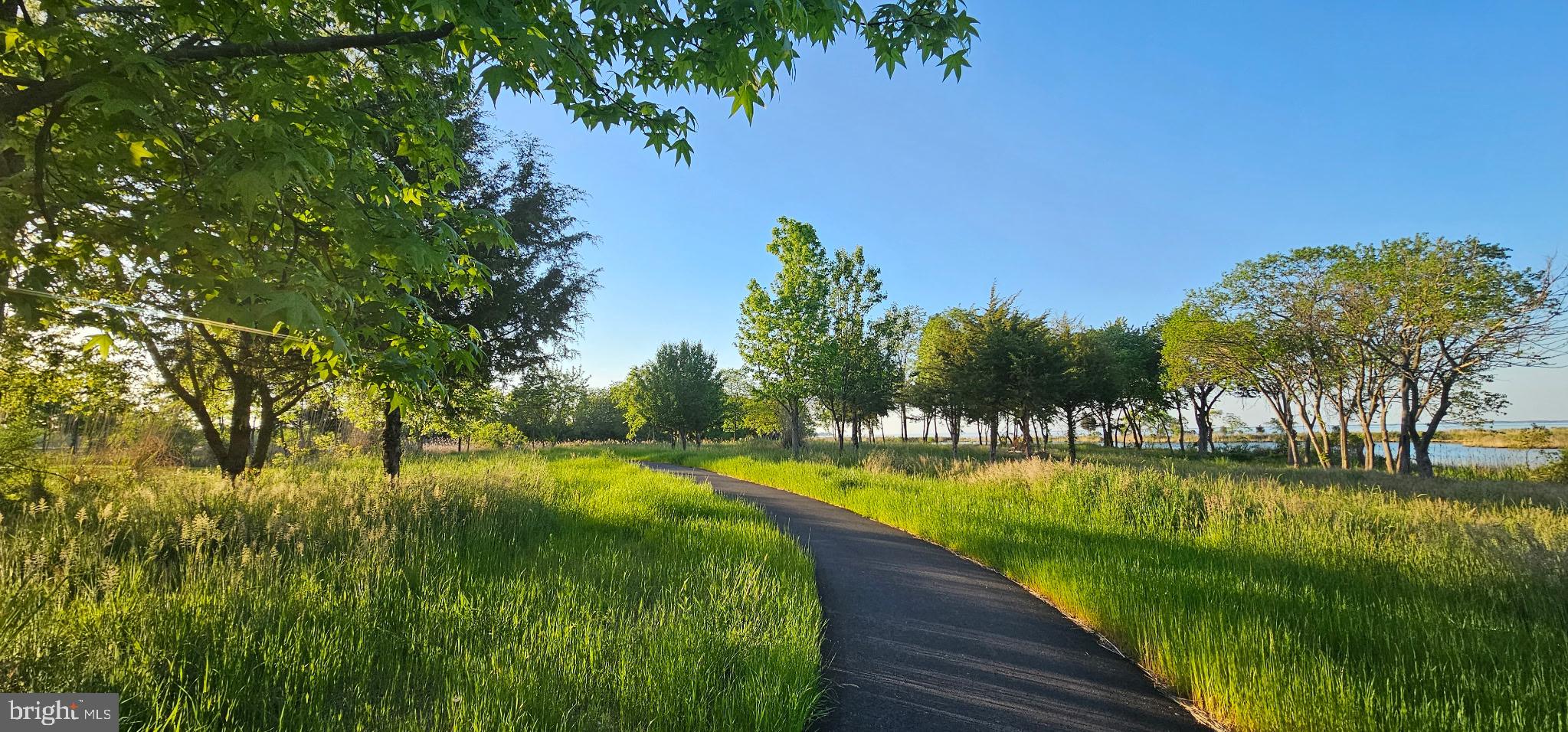 FOUR SEASONS AT KENT ISLAND - Residential