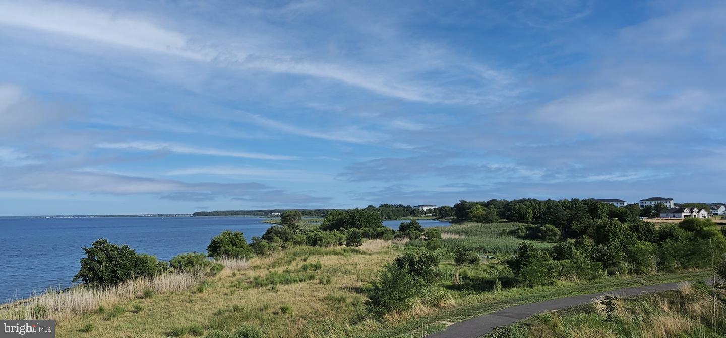 FOUR SEASONS AT KENT ISLAND - Residential