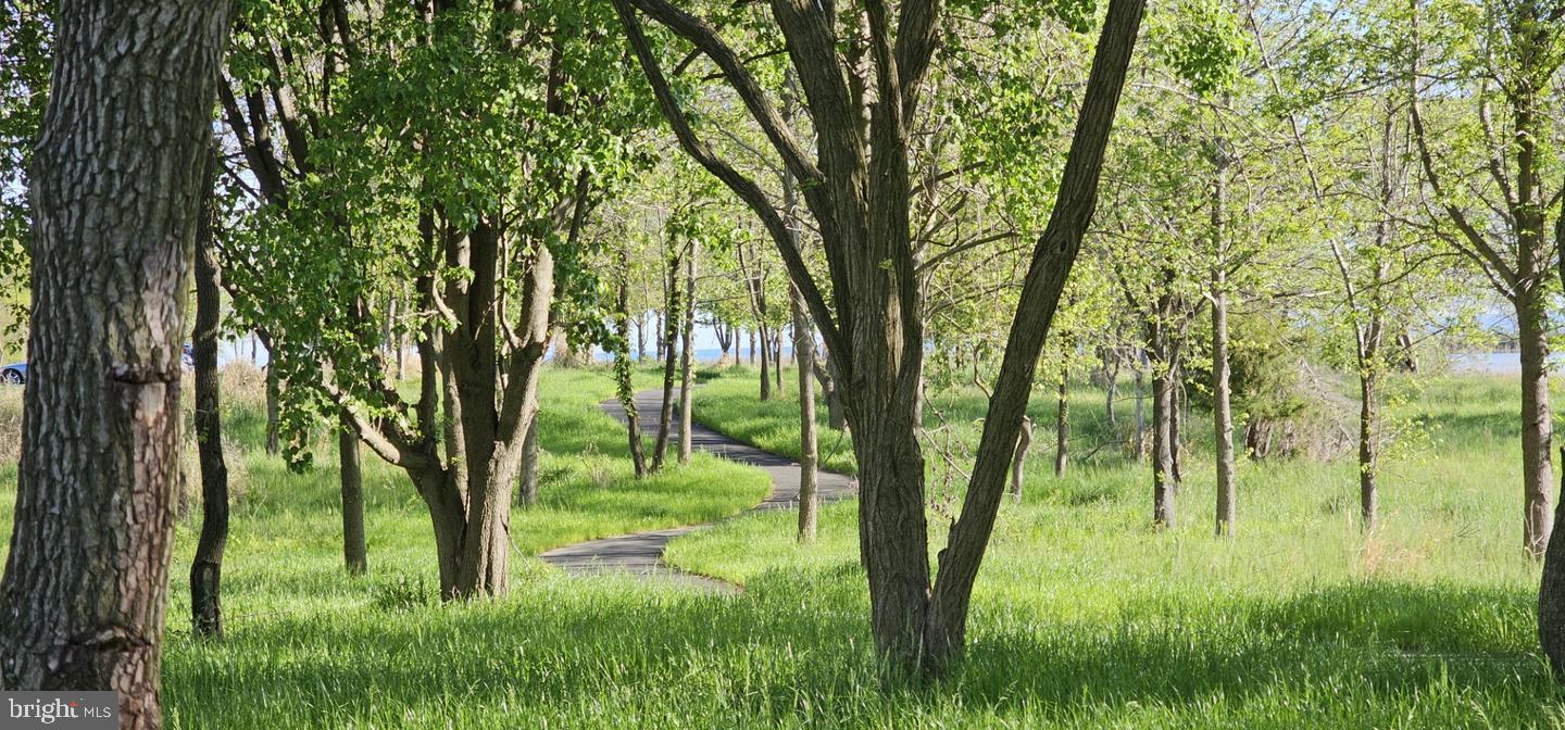 FOUR SEASONS AT KENT ISLAND - Residential