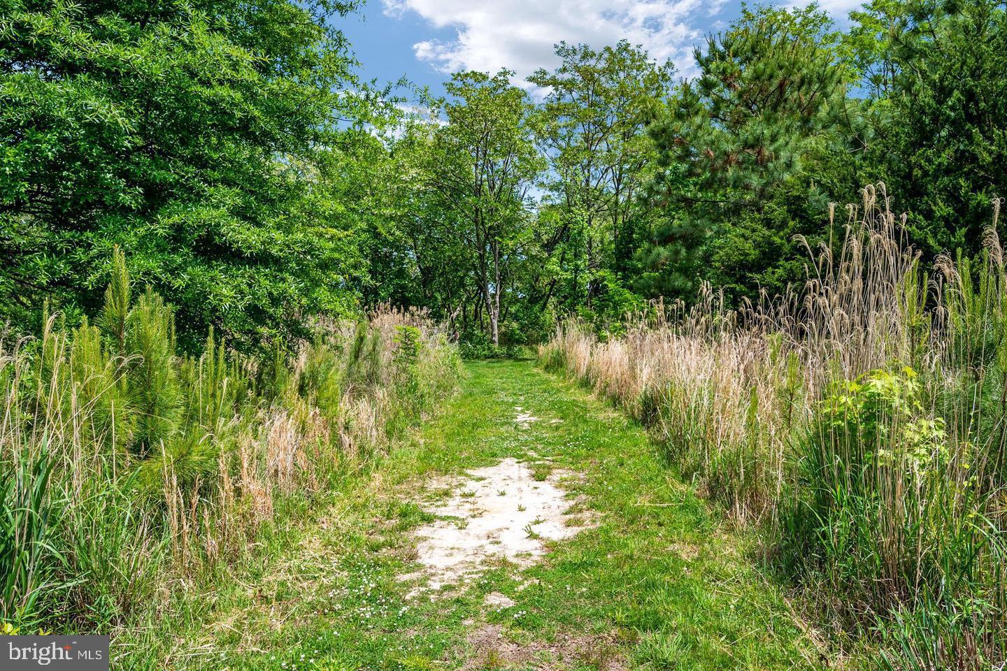 FOUR SEASONS AT KENT ISLAND - Residential