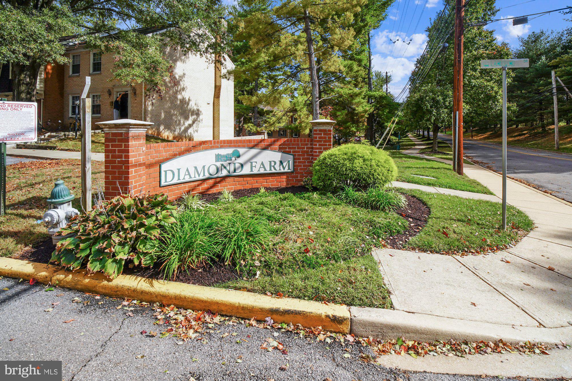 DIAMOND FARM CODM - Residential