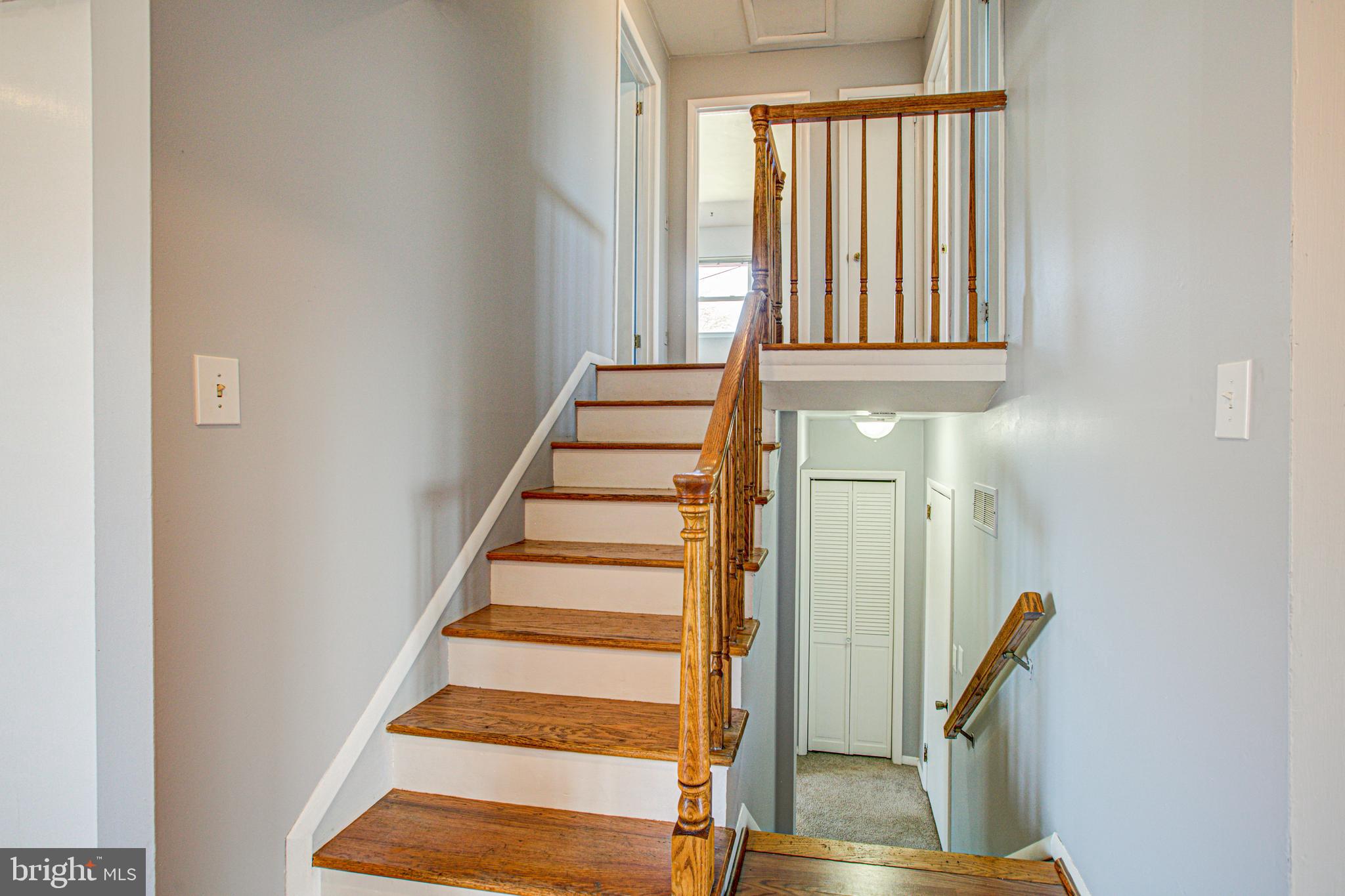 SPRINGFIELD ESTATES - Residential