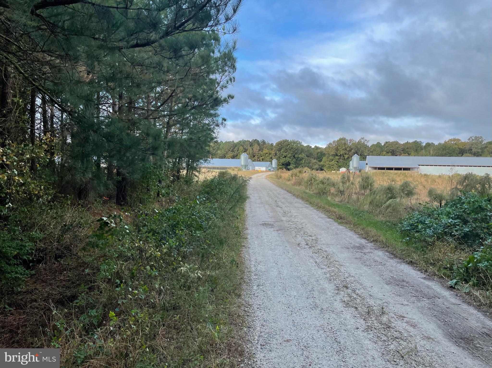 NONE AVAILABLE - Farm