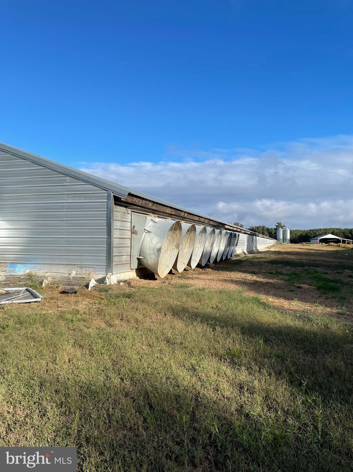 NONE AVAILABLE - Farm