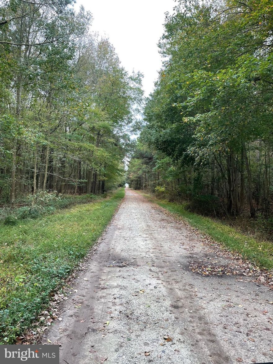 Build your dream home on this farm (Perc has been approved by county). 
Fully upgraded, Turnkey operation!
Driving down a private tree lined driveway, you'll come up to 4 chicken houses, located on 55.2 acres. Built in 2016, 60x560, upgraded in 2022 to Perdue specifications. Looking to bring horses? Pasture and horse stalls are located on the side of the farm. Looking to hunt and fish? Enjoy wooded privacy and the pond!