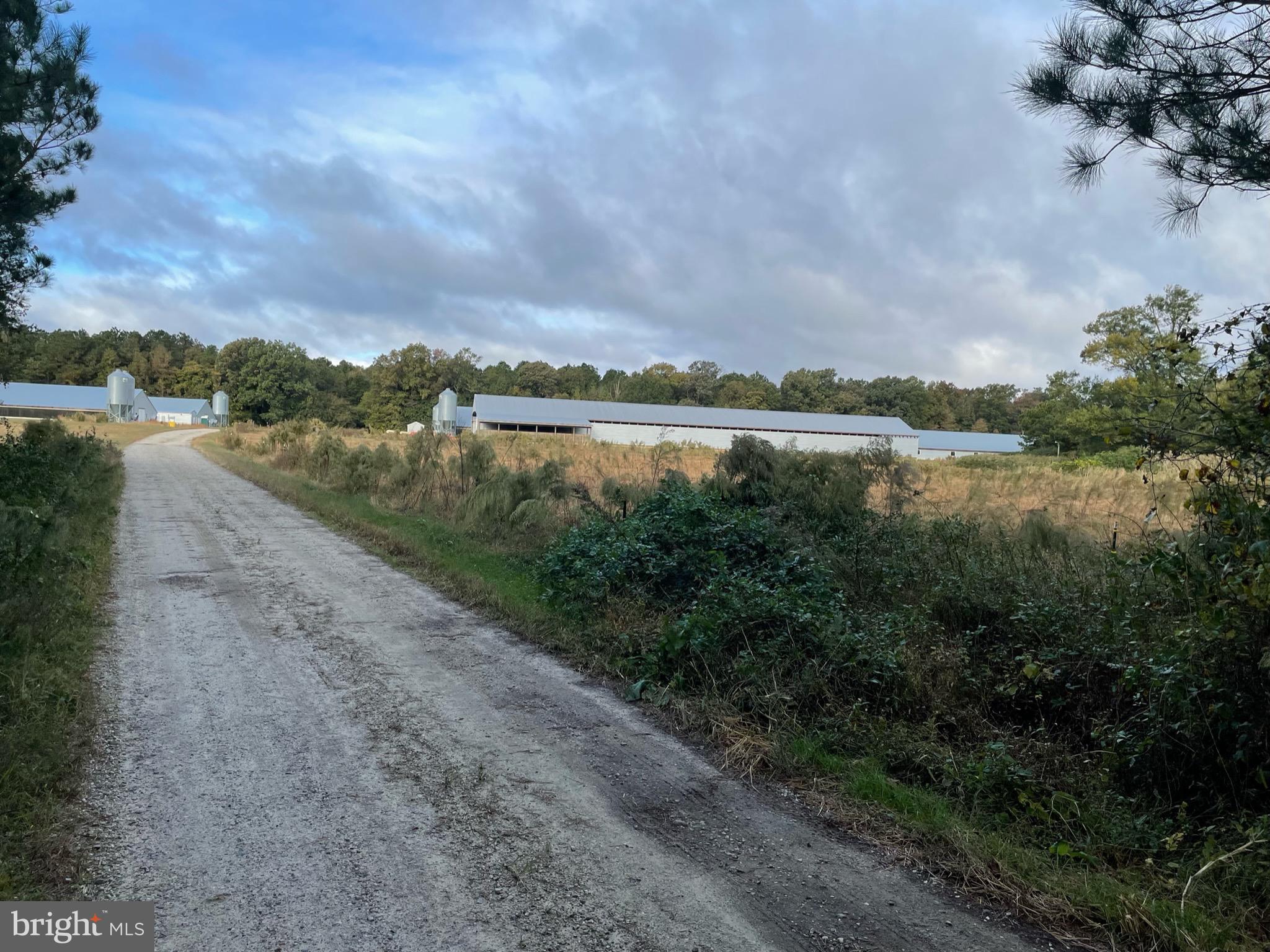 NONE AVAILABLE - Farm