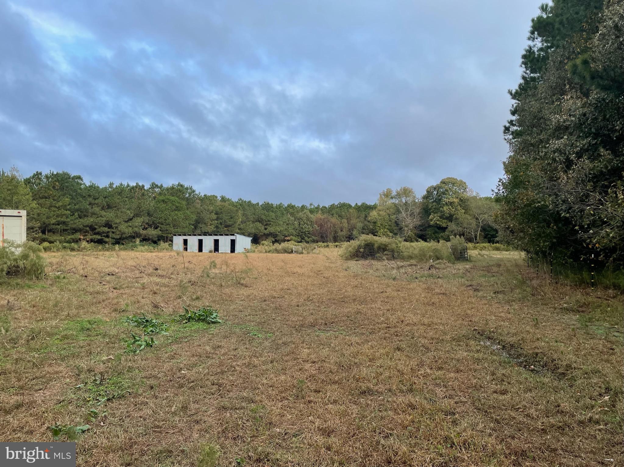 NONE AVAILABLE - Farm