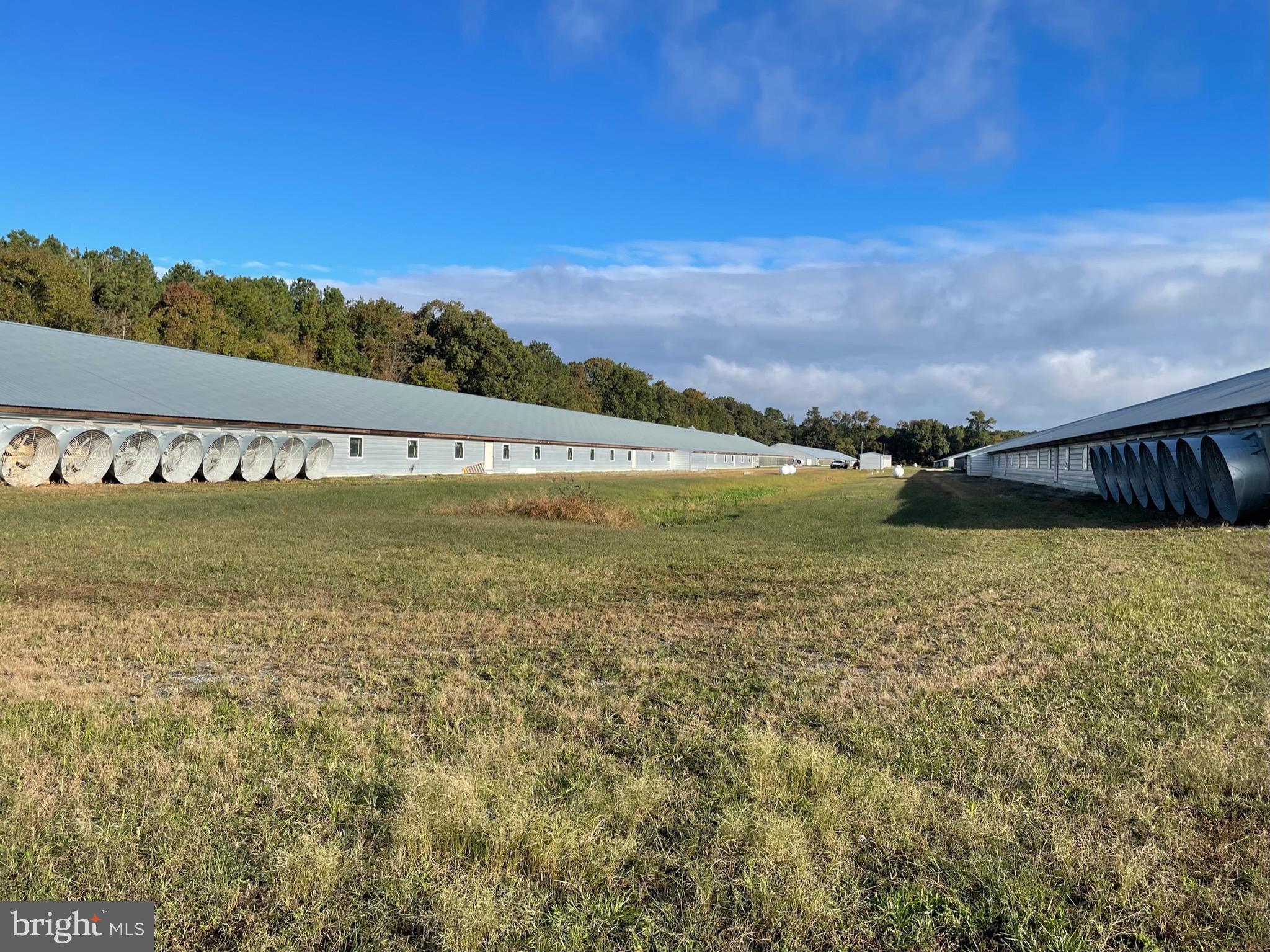 NONE AVAILABLE - Farm