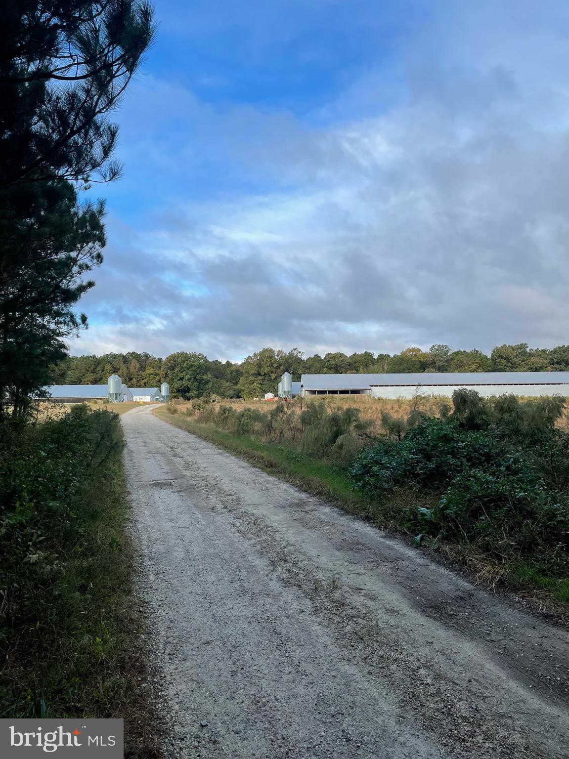 NONE AVAILABLE - Farm