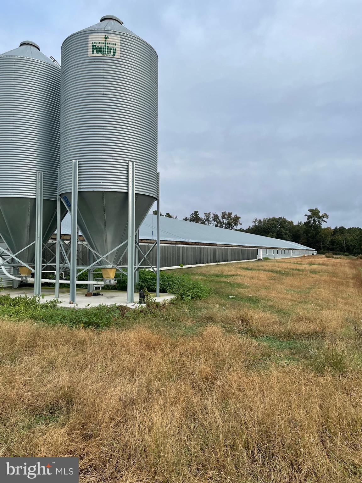 NONE AVAILABLE - Farm