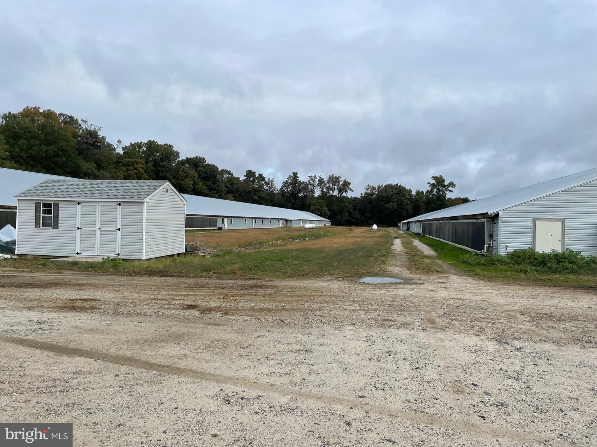 NONE AVAILABLE - Farm