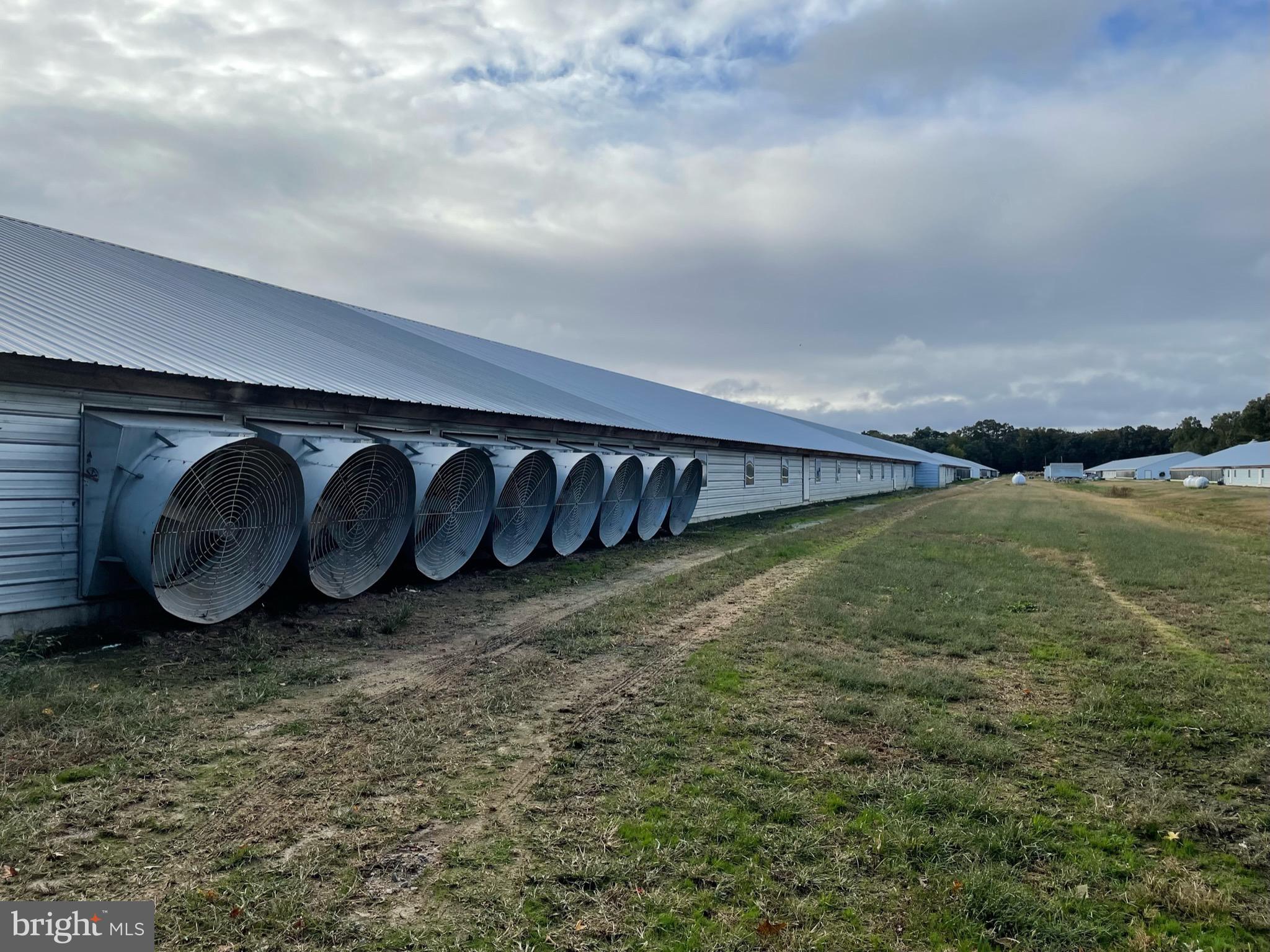 NONE AVAILABLE - Farm