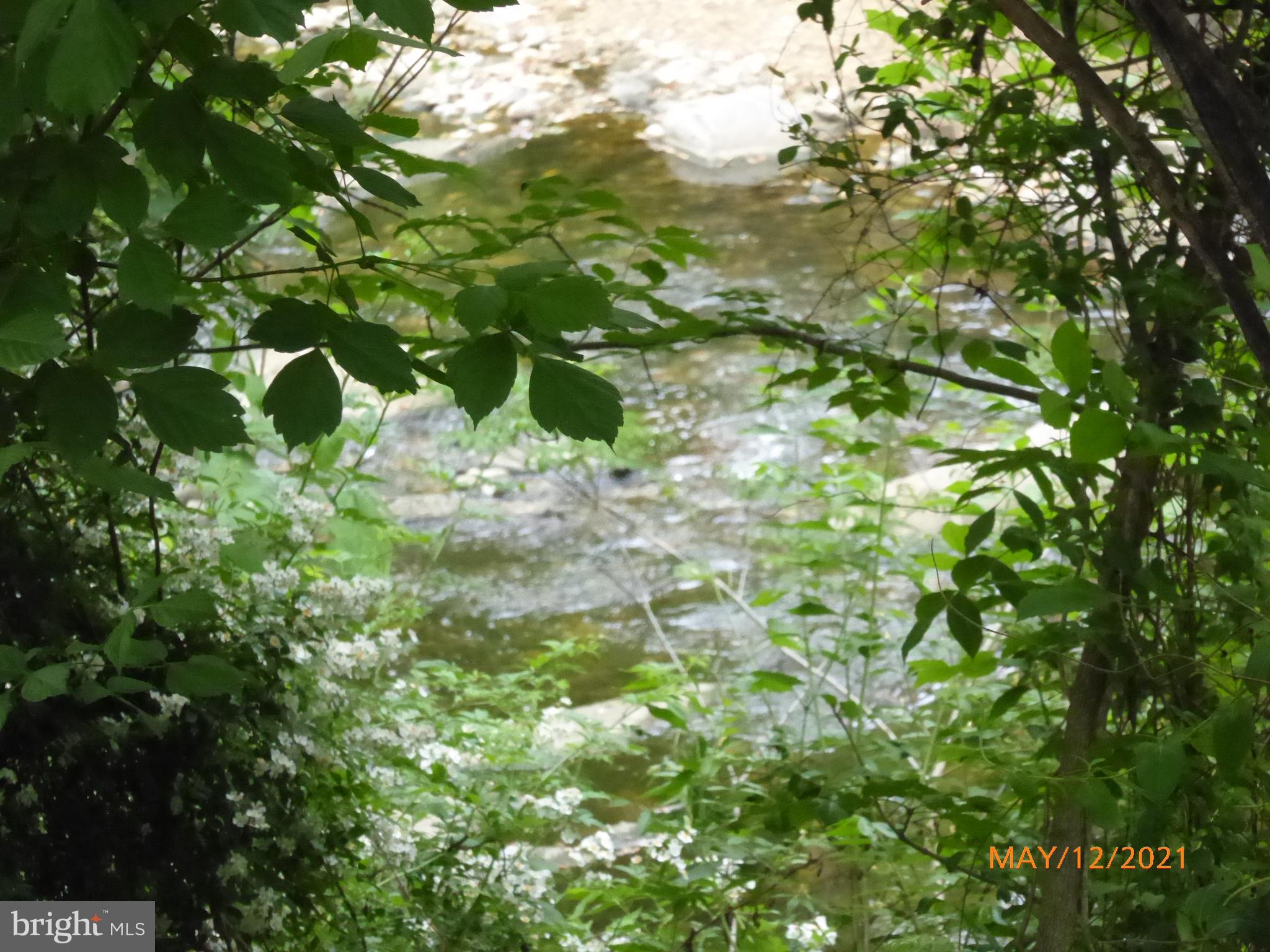 THE CARLTON - Residential