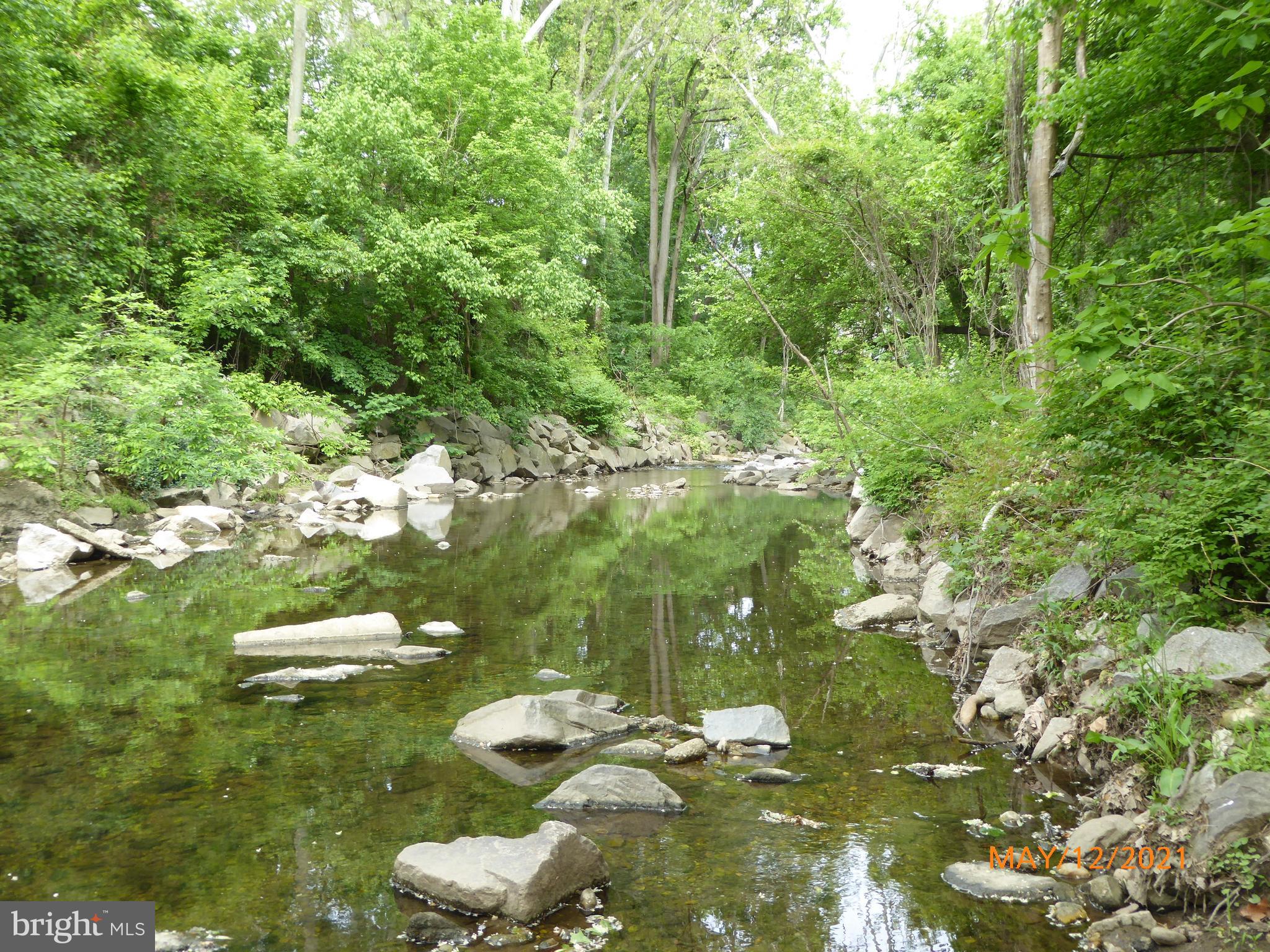 THE CARLTON - Residential