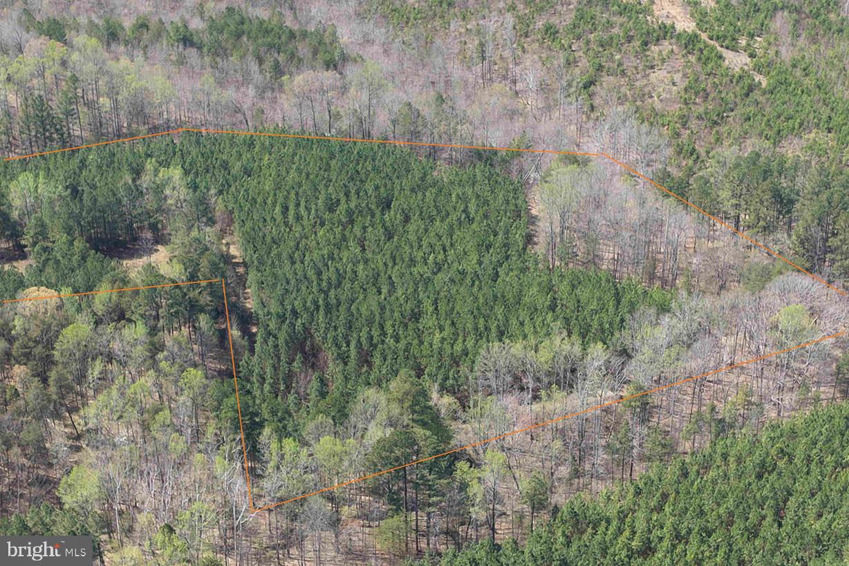 DABNEY HOUSE RD. - (TRACT: PITTSYLVANIA COMPTON-1)