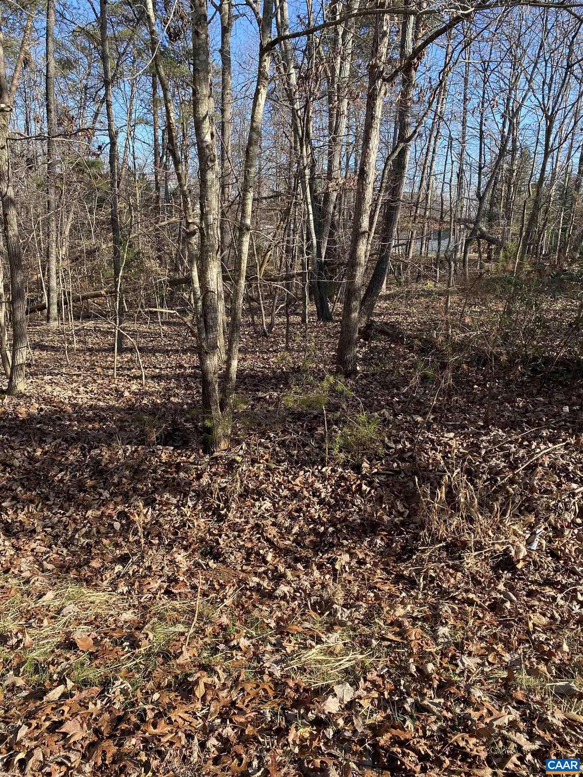 LAKE MONTICELLO - Land