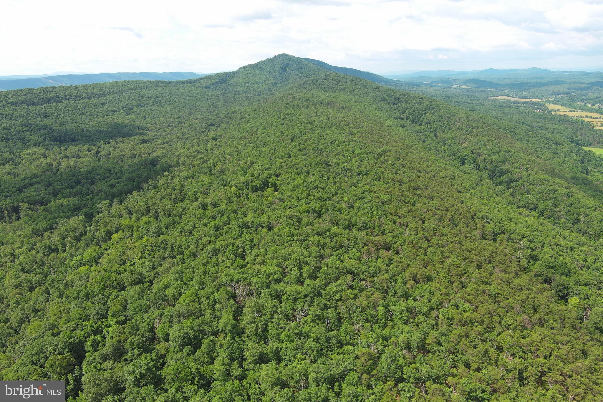 ONE MILE RIDGE.....150 UNRESTRICTED ACRES OF PRIME WV WILDERNESS ON THE NORTHERN TIP OF "WHITE HORSE MOUNTAIN" ONLY 124 MILES FROM DOWNTOWN DC! YOU WON'T FIND A WOODED PROPERTY THIS SIZE WITH GENTLER TOPO.....LITERALLY 1 MILE OF FLAT RIDGE TOP WITH A ROAD FROM END TO END AND SEVERAL ATV TRAILS THAT PROVIDE ACCESS TO ALL PARTS OF THE PROPERTY. INCREDIBLE WESTERLY VIEWS OF DISTANT MOUNTAIN RANGES AND THE GREEN SPRING VALLEY......ONLY 1/2 MILE OFF THE PAVED ROAD, WITHIN 3 MILES OF 3 PUBLIC ACCESS POINTS ON THE SOUTH BRANCH OF THE POTOMAC RIVER FOR ENDLESS RIVER ADVENTURES, 10 MINUTES FROM THE GREEN RIDGE STATE FOREST IN MD, ONLY 20 MINUTES FROM CUMBERLAND, MD FOR CASINO & GOLF, LESS THAN AN HOUR FROM DEEP CREEK LAKE AND SKIING AT THE WISP RESORT! CLEAN FOREST WITH GREAT STAND OF YOUNG & GROWING HARDWOODS, UNIQUE ROCK OUTCROPPINGS AND TOTAL SECLUSION. ELECTRIC NOT ON THE PROPERTY BUT VERY CLOSE IN A FEW SPOTS, IF YOU WANT TO STAY OFF GRID, THERE'S PLENTY OF SOUTHERN EXPOSURE FOR SOLAR. STAY CONNECTED WHILE YOU DISCONNECT WITH 5G CELL SERVICE! A TRUE HUNTERS PARADISE......POLLUTED WITH DEER, BEAR, TURKEY & BOBCAT AND THERE'S ONLY ONE PROPERTY BETWEEN THIS LAND AND "WHITE HORSE MOUNTAIN WILDLIFE MANAGEMENT AREA" 1700 ACRES OF PUBLIC HUNTING & HIKING. IF YOU'VE BEEN LOOKING FOR A PRIVATE MOUNTAIN SPREAD THAT YOU CAN USE FOR ALL YOUR RECREATIONAL PURSUITS......YOUR SHIP HAS COME IN! STOP DREAMING AND START DOING....MAKE THE CALL TODAY!