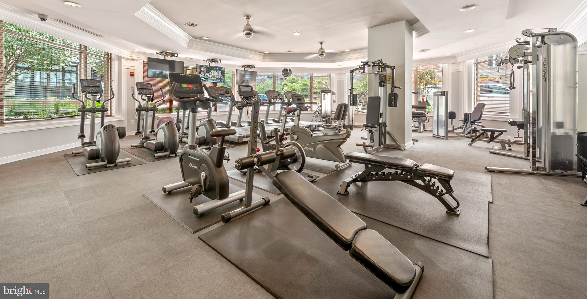 SAVOY AT RESTON TOWN CENTER - Residential