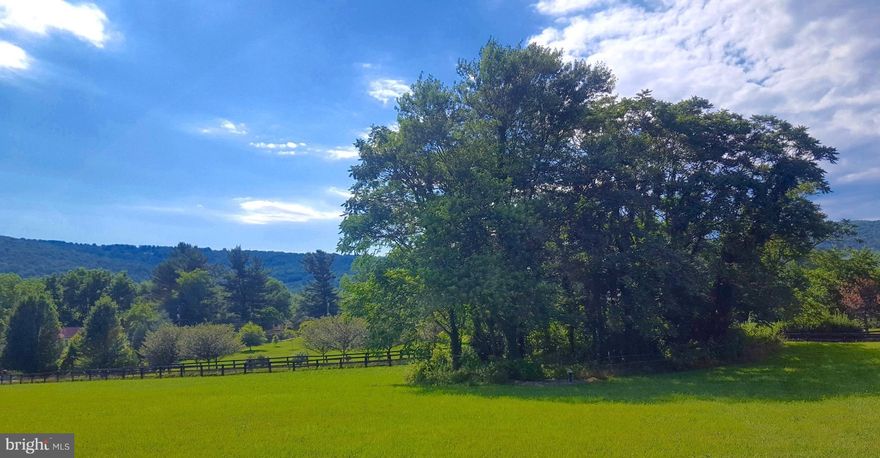 Beautiful level lot in desirable Bluemont on Loudoun's western edge. Enjoy mountain views to the west and north, with lovely large farm to the back and side. Approved 4-BR perc site, plus strong well installed. Paved access, great commuter location, plus all the charm of life in a rural village. This is a true gem; a rare find. Build your dream home w/our award winning builder, or bring your own.