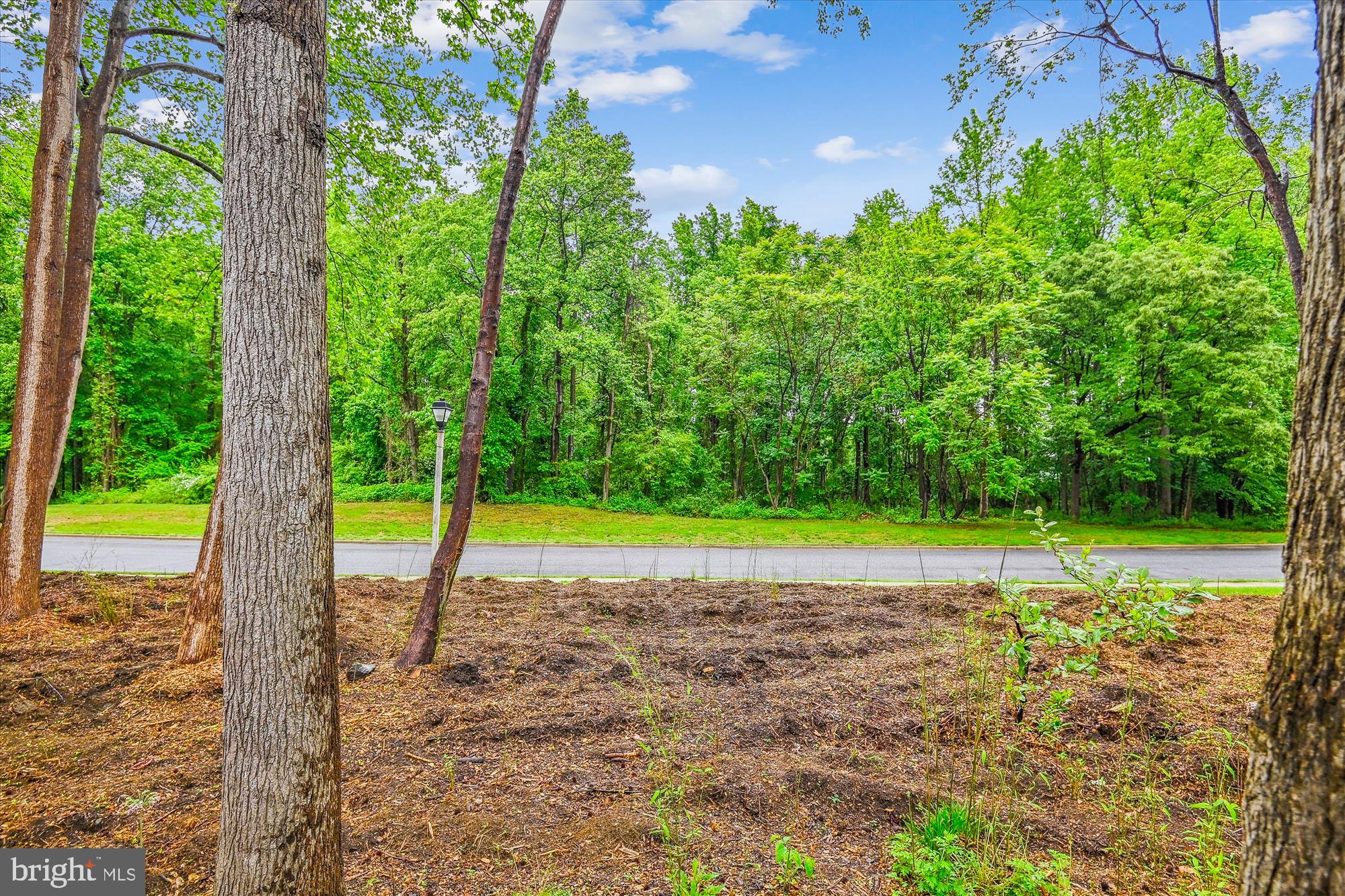 HUNT MEADOW - Residential