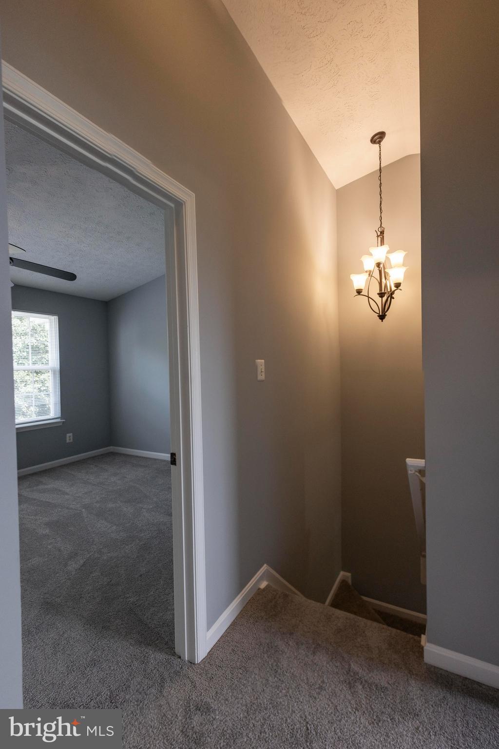 CONSTANT FRIENDSHIP - Residential Lease