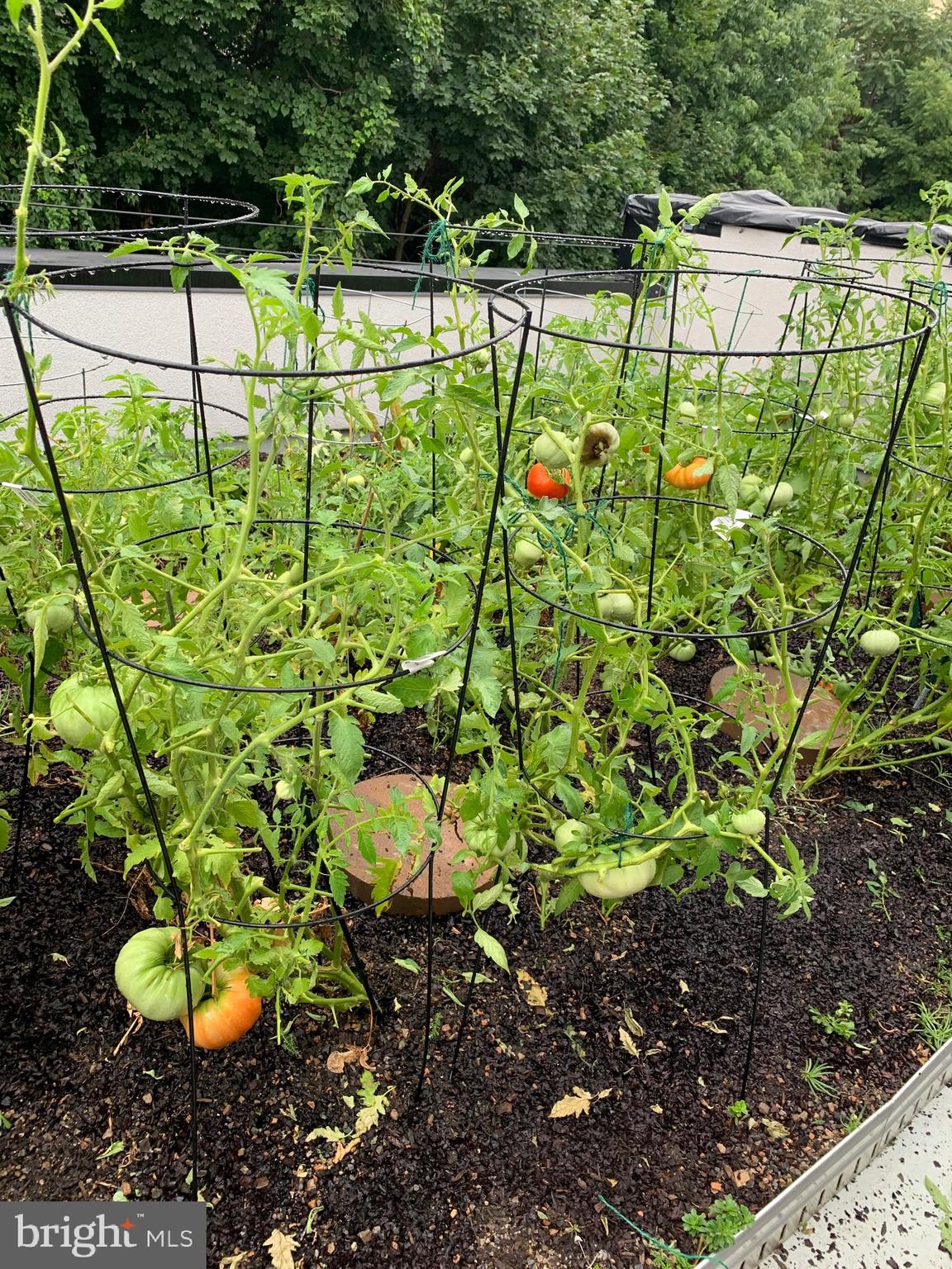 MANAYUNK - Residential