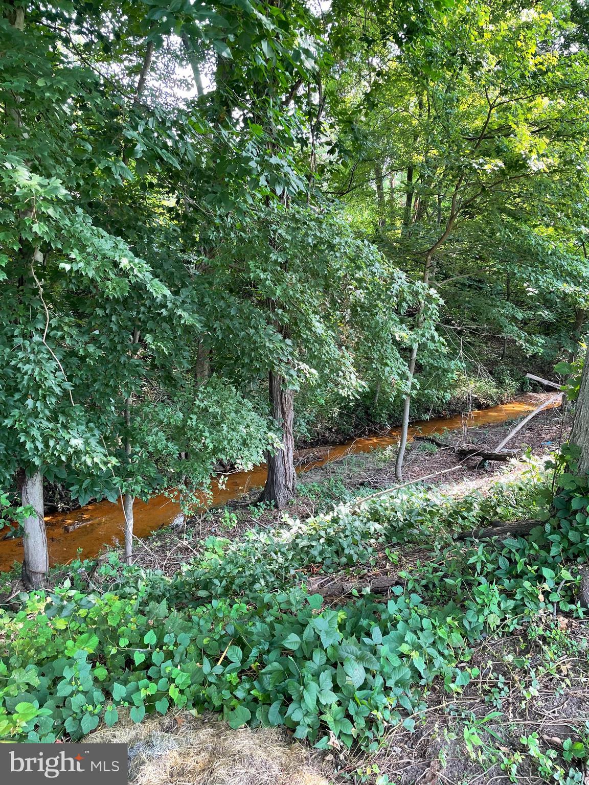 MEADOWBROOK AT BELAIR - Residential