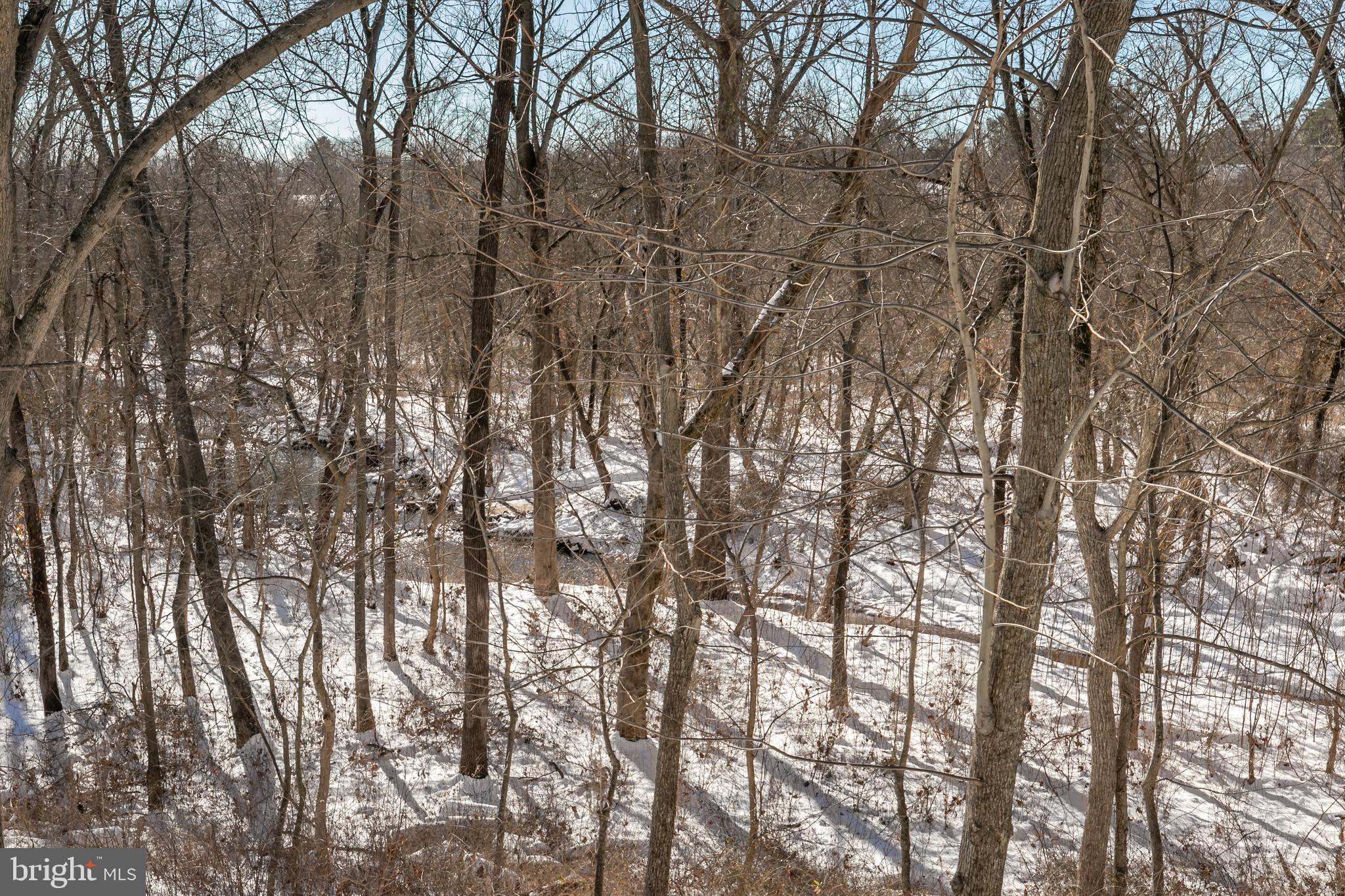 MILLWOOD POND - Residential