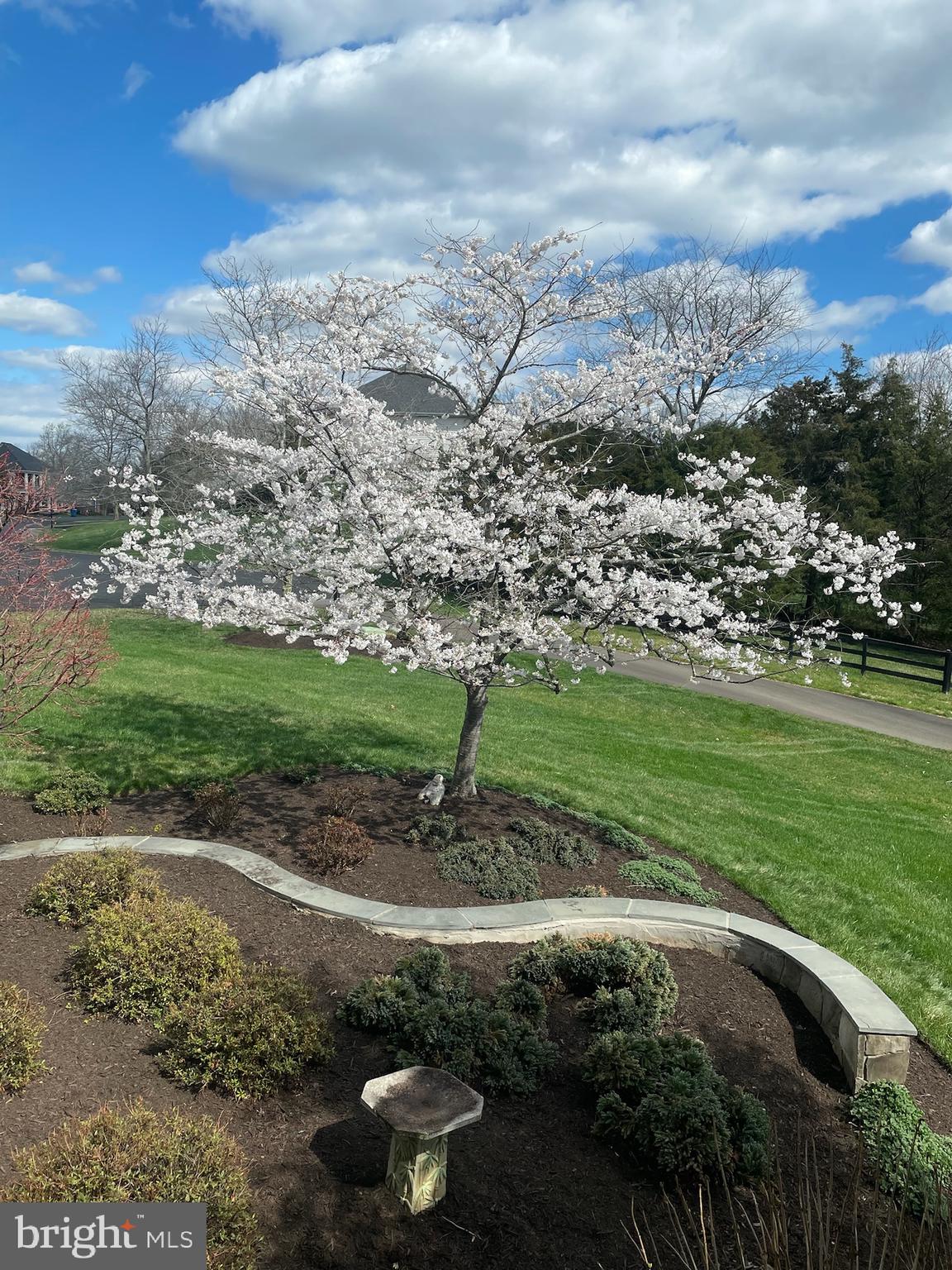 MILLWOOD POND - Residential