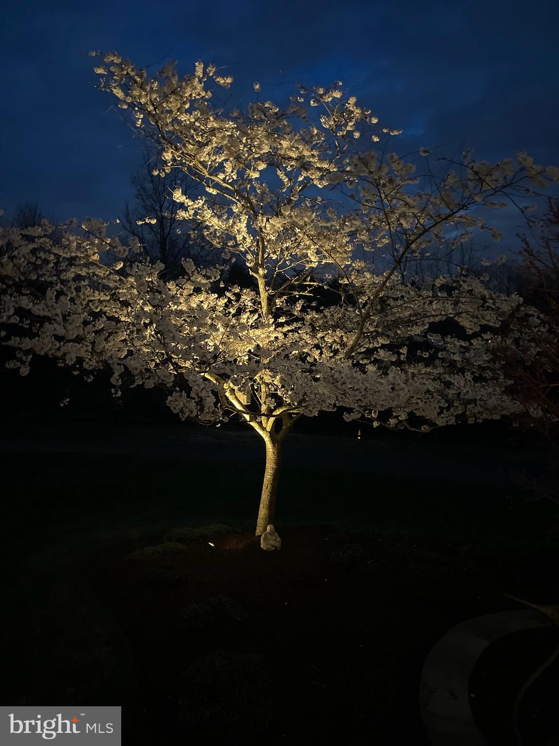 MILLWOOD POND - Residential