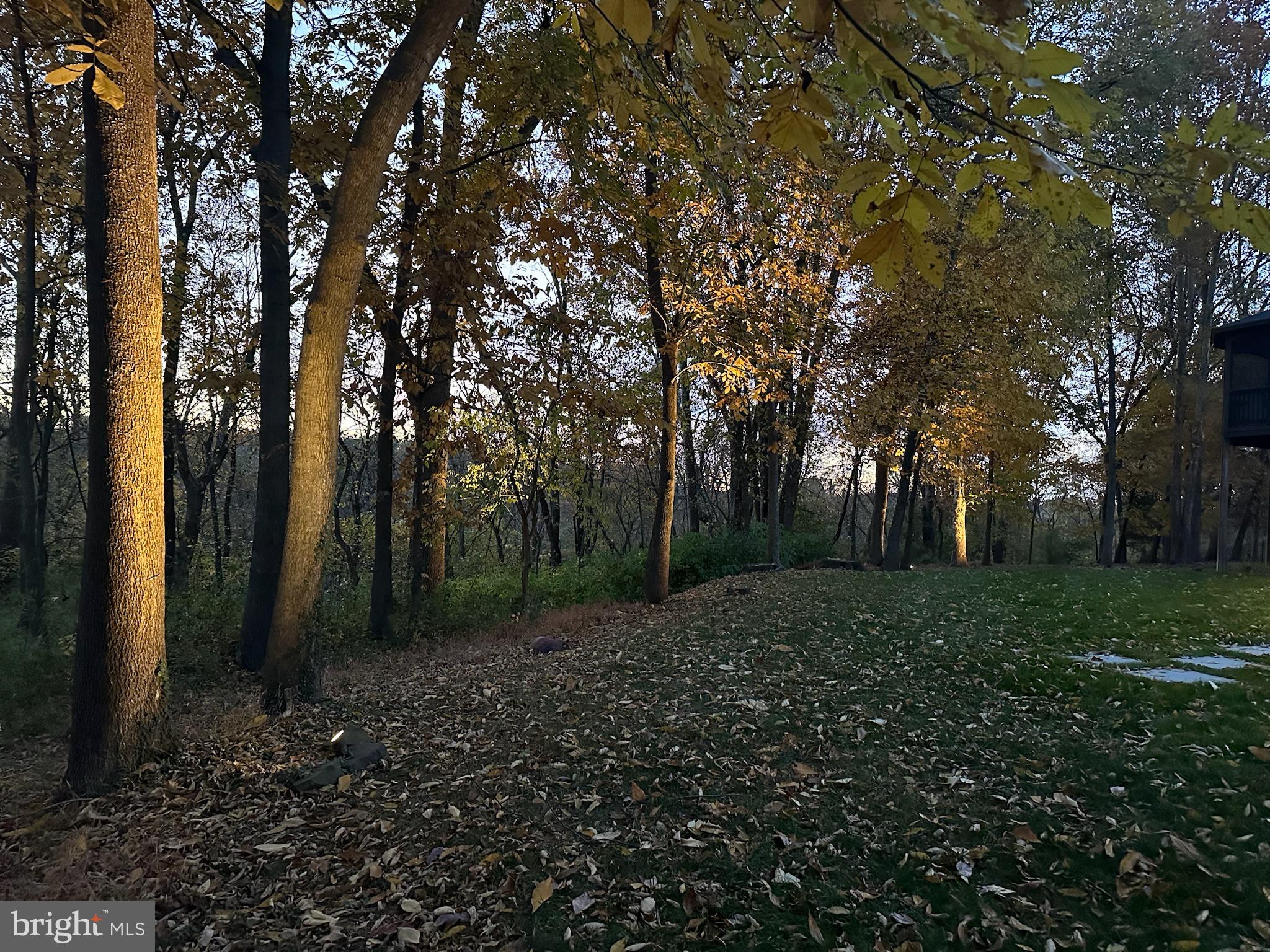 MILLWOOD POND - Residential