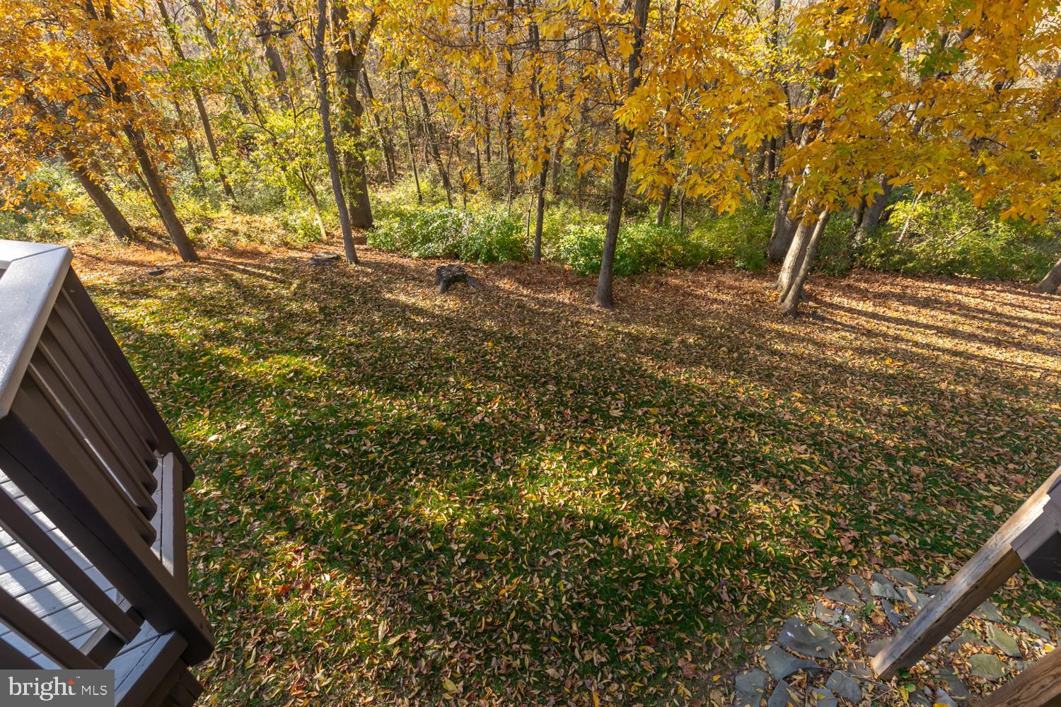 MILLWOOD POND - Residential