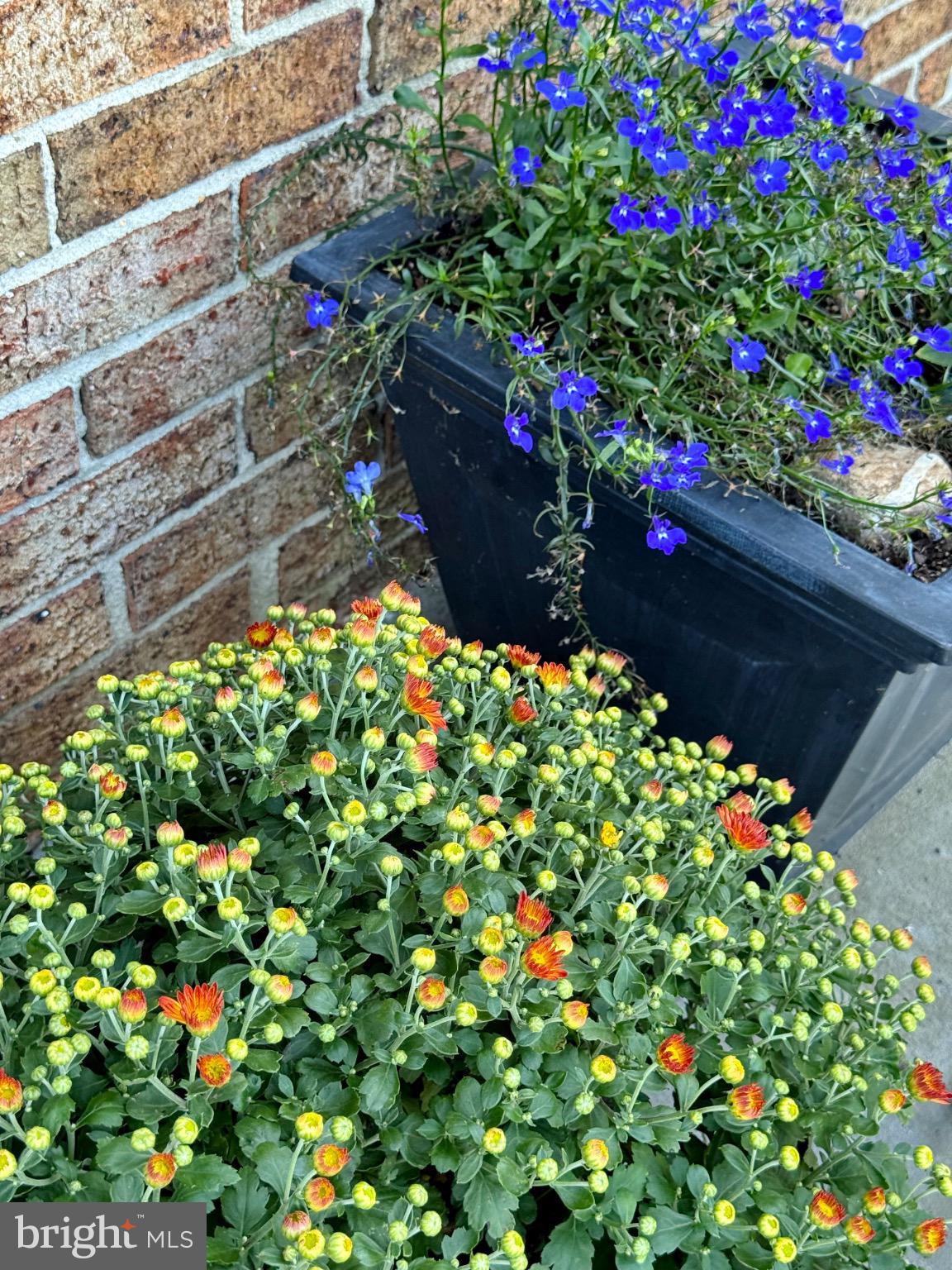 MARIELLEN PARK SUB - Residential